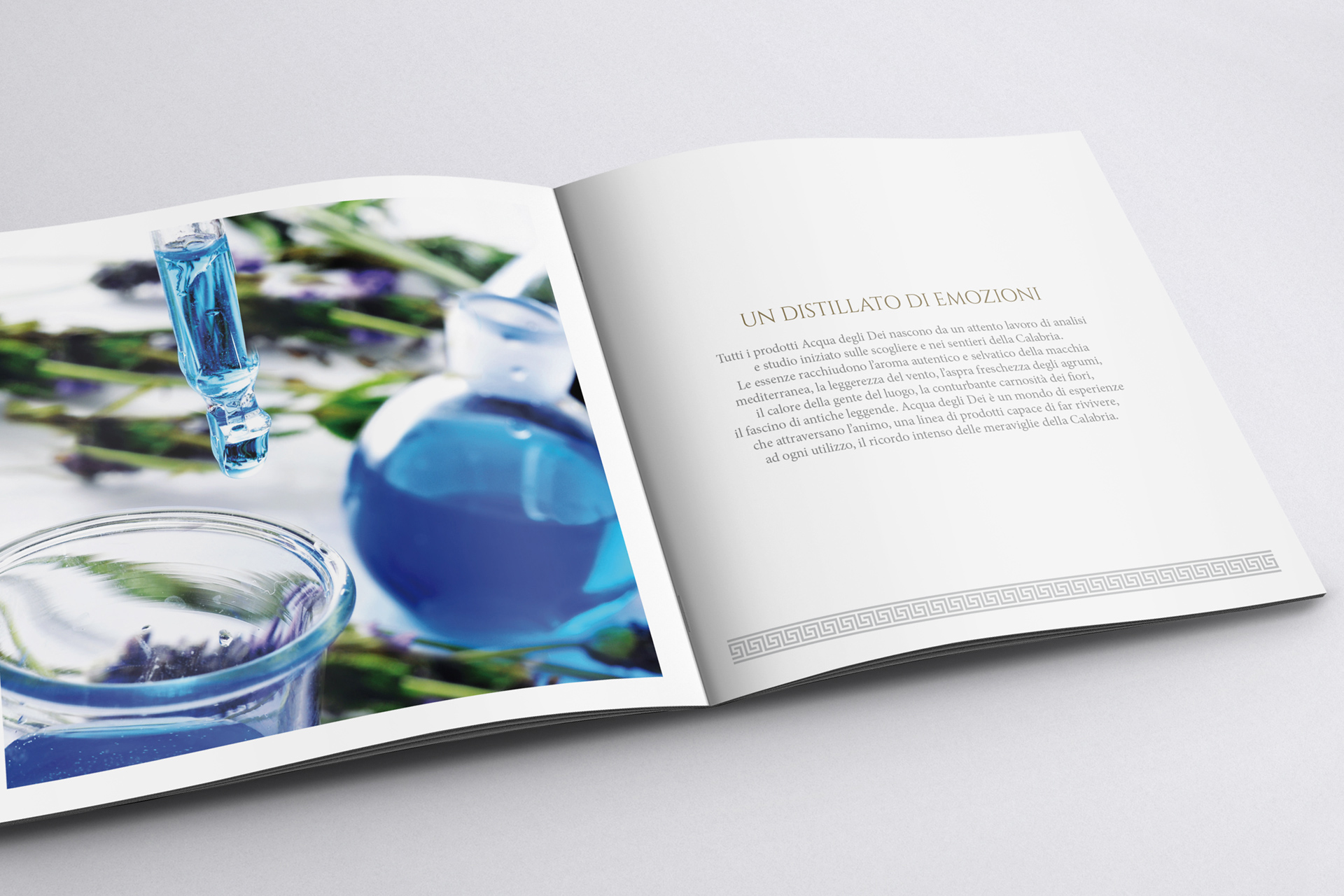 studio brochure acqua degli dei pubblicitario partner4