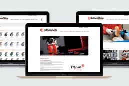 tellure design sito web 4
